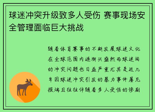 球迷冲突升级致多人受伤 赛事现场安全管理面临巨大挑战